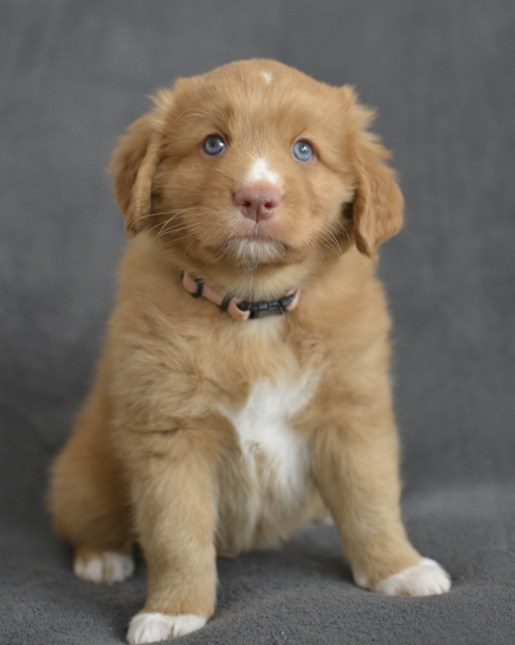 Waswanipi C'est Alani